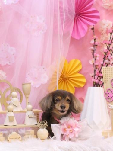 20250305ココちゃん